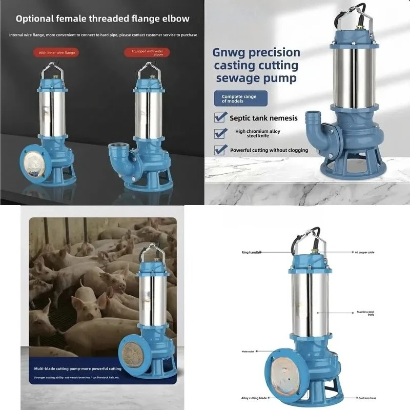 Cast Iron Cutting Submersible Pump for Pig Manure Biogas Fermentation Tank Three Phase Motor Flange Connection