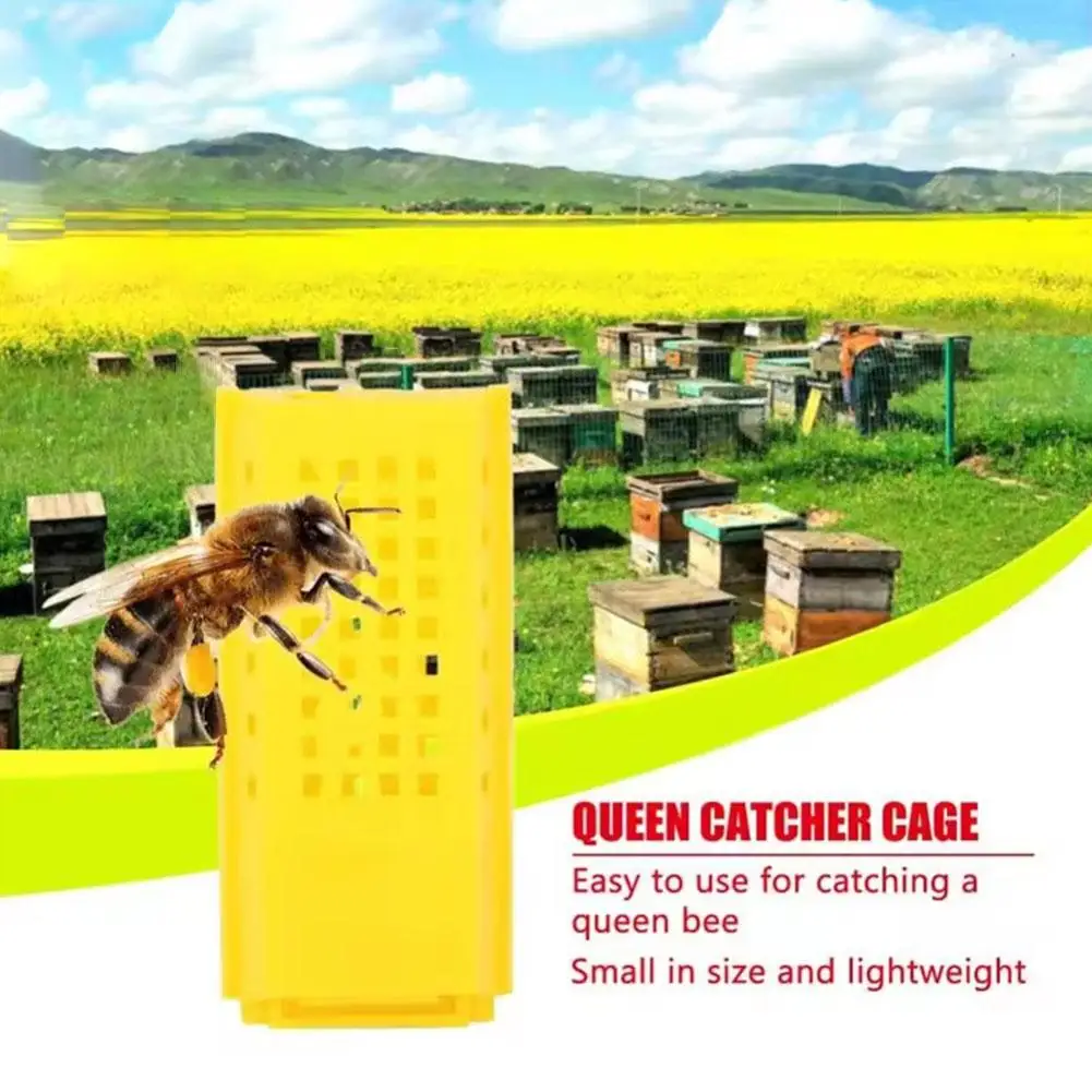 Beekeeping Equipment Yellow Plastic Queen Bee Cage New Water Cage Queen Bee Dispenser Design Prisoner Honeycomb Bee S3Q2