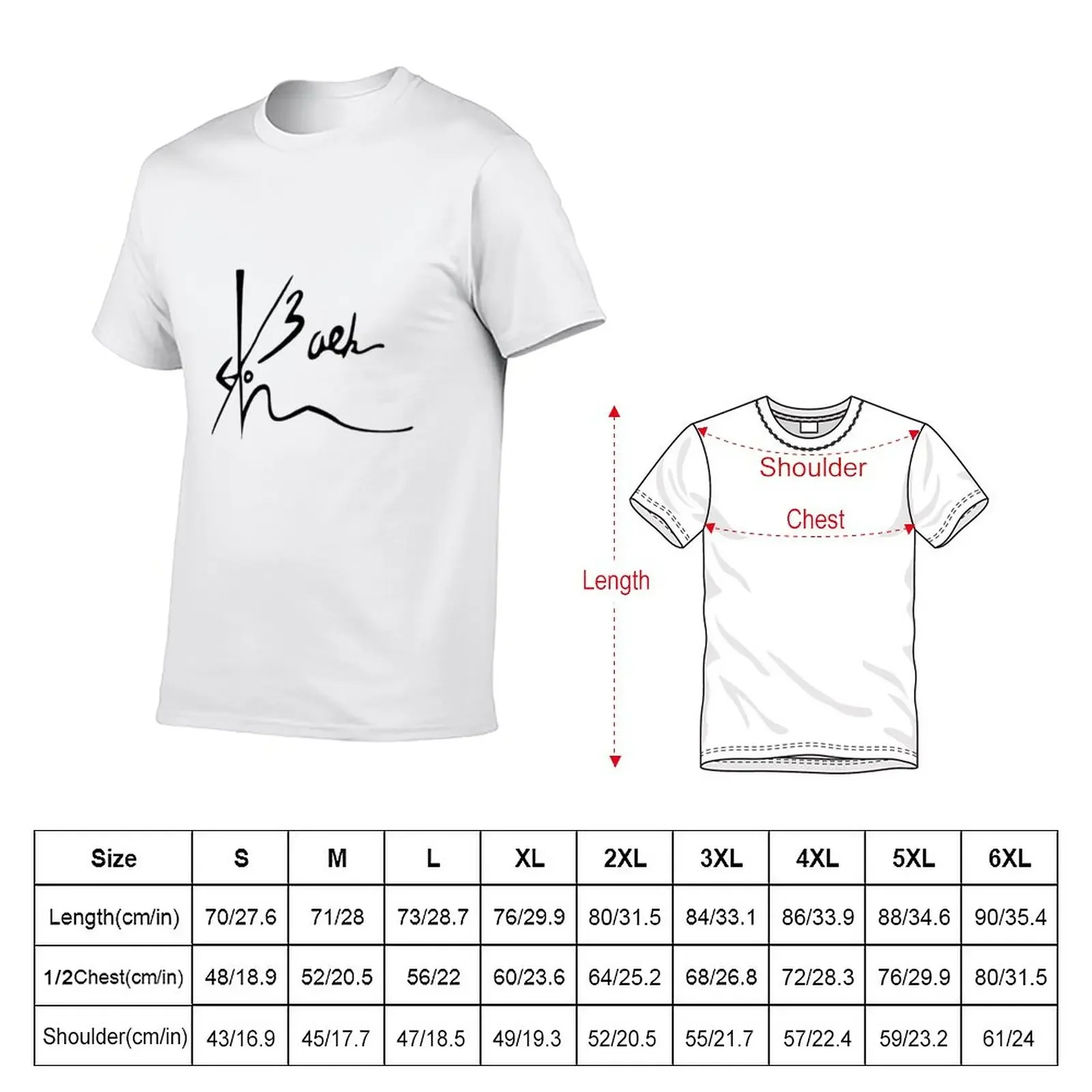 Baekhyun Signature T-Shirt summer clothes quick drying t shirts for men graphic