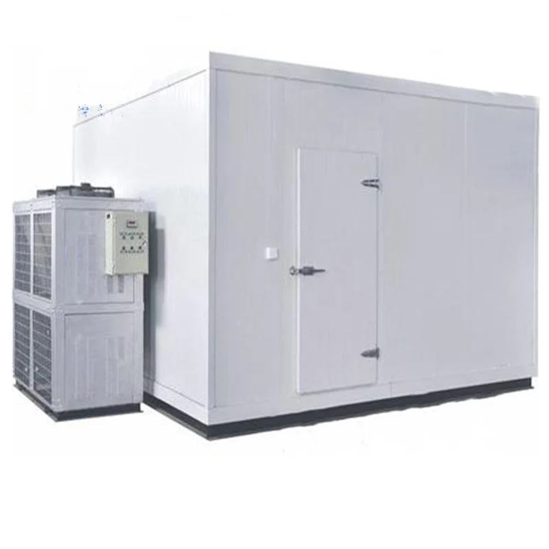Cold Storage Meat Freezer Low-temperature Cold Storage Professional Cold Freezing Rooms