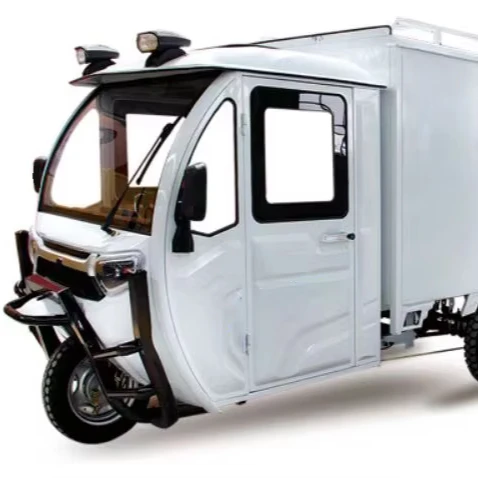 Cargo 3-Wheel Electric Tricycle 60V Motor 1200W Power 400kg Payload Capacity EEC/DOT Certified Steel Cabin Closed Van