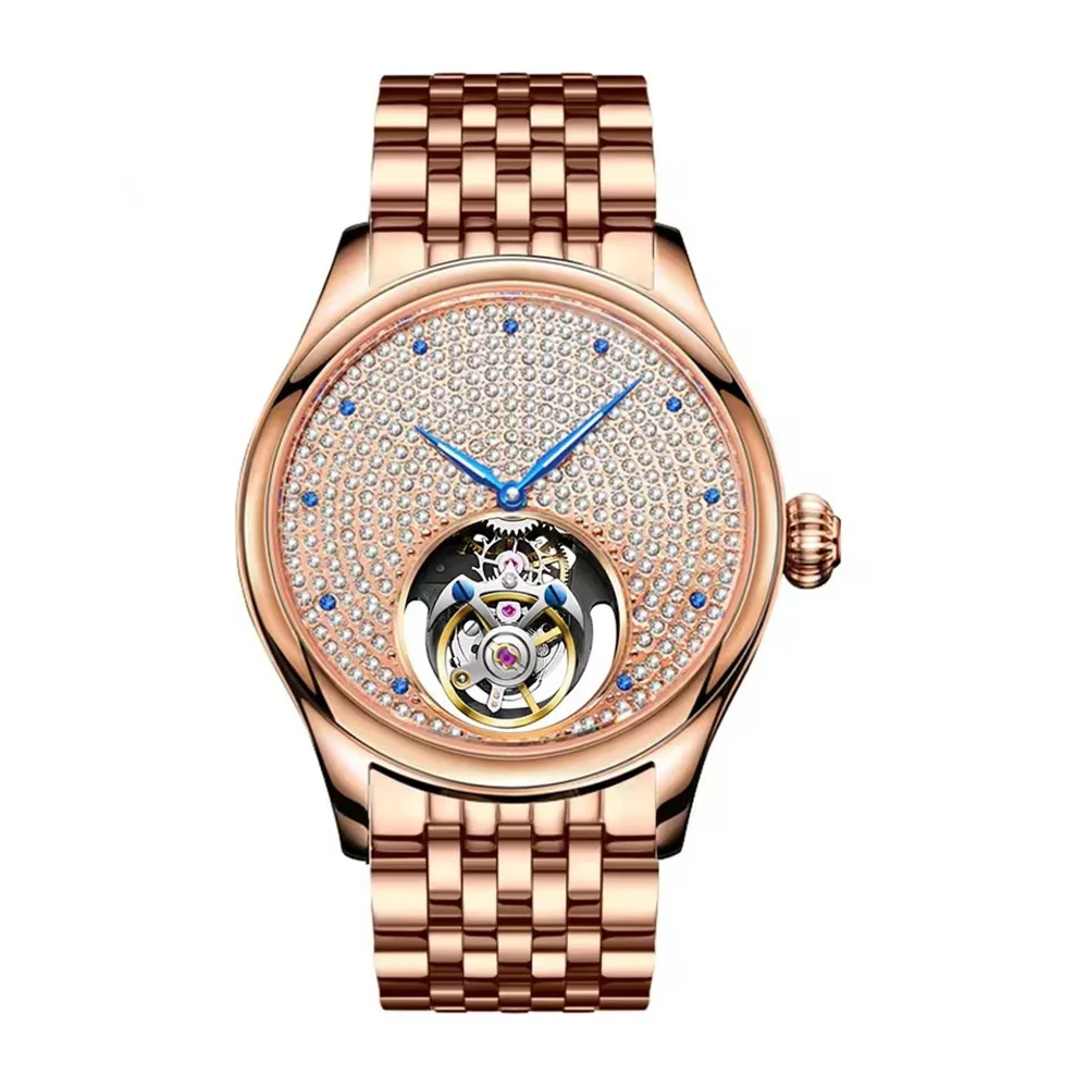 AESOP Men's Tourbillon Mechanical Wrist Watch Stainless Steel Double-Sided Starry Dial Fashion Shining Waterproof Sapphire Clock