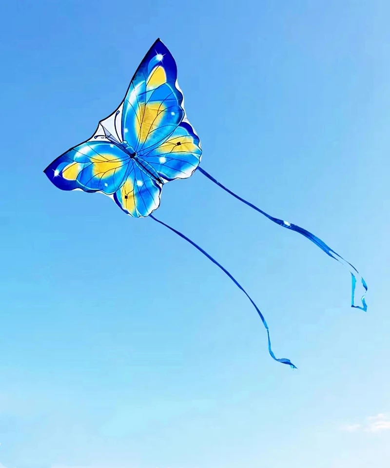 free shipping butterfly kites flying for kids professional winds kites inflatable toys parachute windsurfing linha de pipa fun