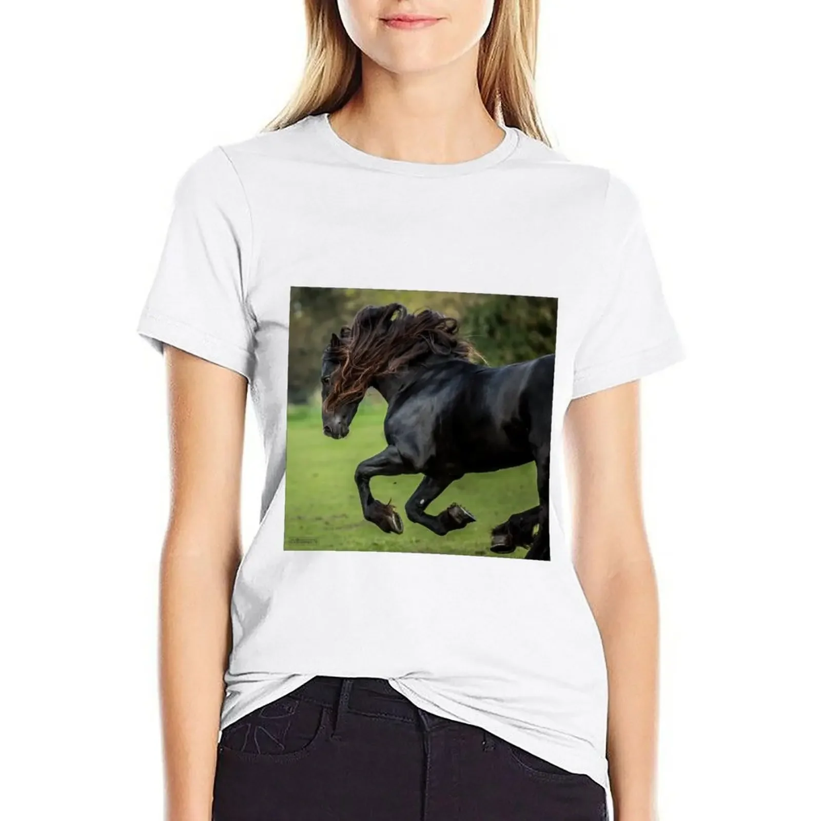 The Friesian Experience - Beautiful Black Beauty Friesian Horses T-shirt funny cute tops T-shirts for Women