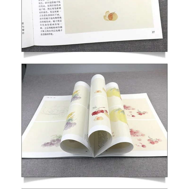 8vo Chinese Painting Fruit & Vegetable Painting Tutorial Book 12 Step-by-Step Color Wash Techniques Flower Bird Style Beginner