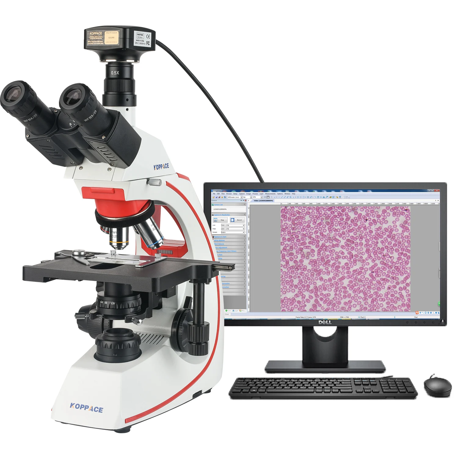 KOPPACE 141X-3545X Trinocular Electronic Compound Lab Microscope 25 Million Pixels USB3.0 Camera