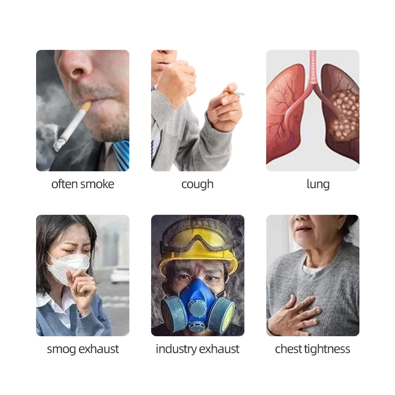 Lung Capsules Asthma Mucus Respiratory System Rhodiola Pueraria Mirifica Schisandra Chinensis Supplements