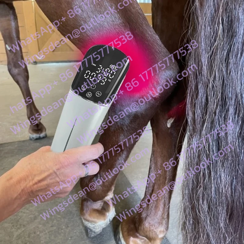 

Hook Arthritis Red Infrared Therapy Device Durable Handheld Light Therapy Rechargeable Device