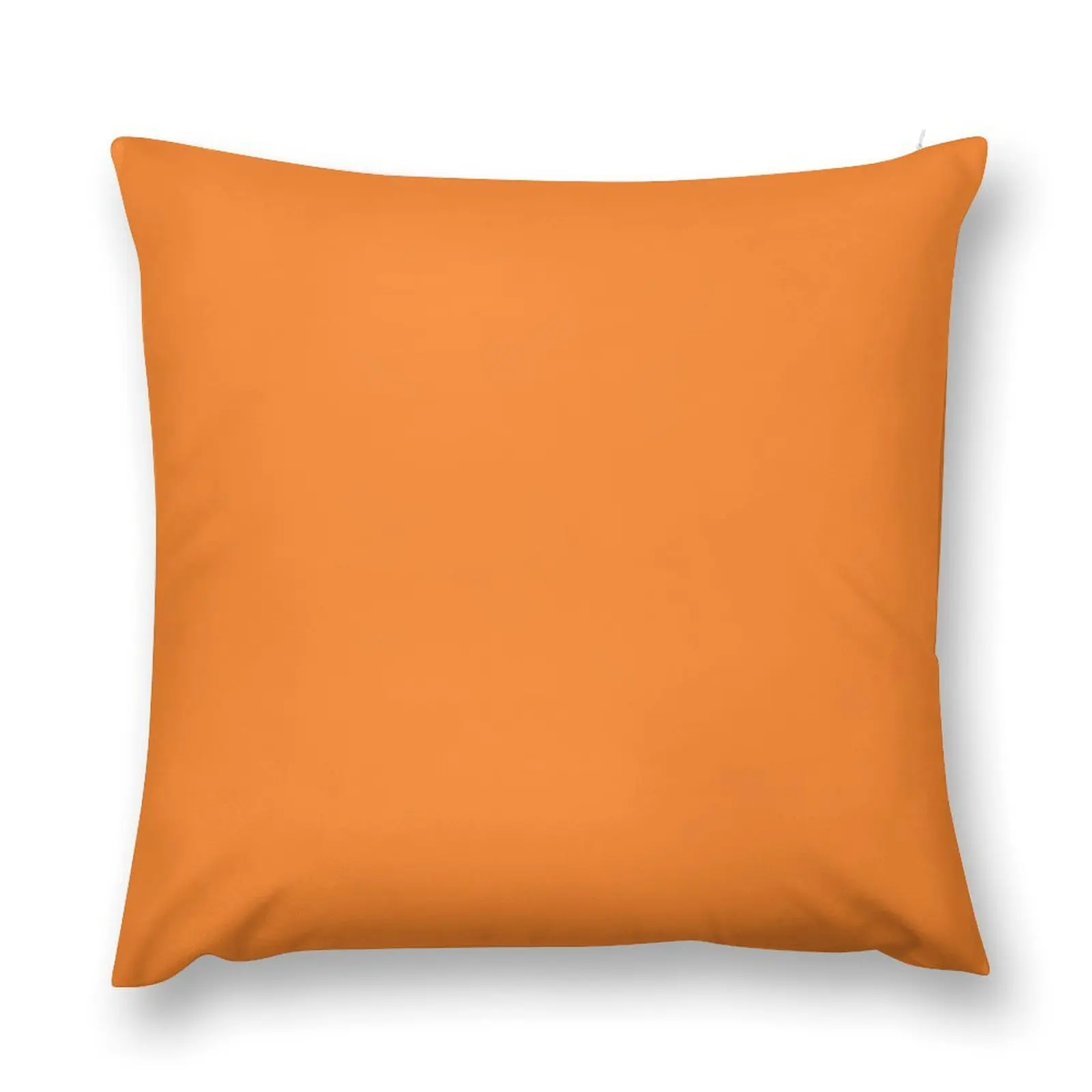 

Tangerine Orange Throw Pillow New year Pillow Cover Pillow Cases Christmas Throw Pillows Covers