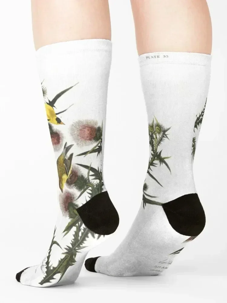 Рисунок 4 - Носки Goldfinch and Thistle