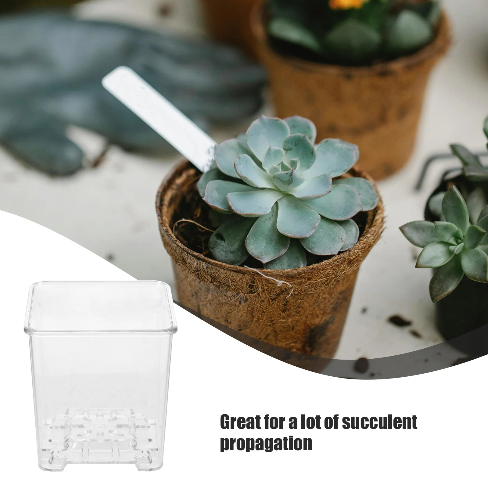 

6Pcs Clear Orchid Plant Pots Acrylic Nursery Pots Breathable Drainage Holes Succulent Starter Planters for Balcony Windowsill