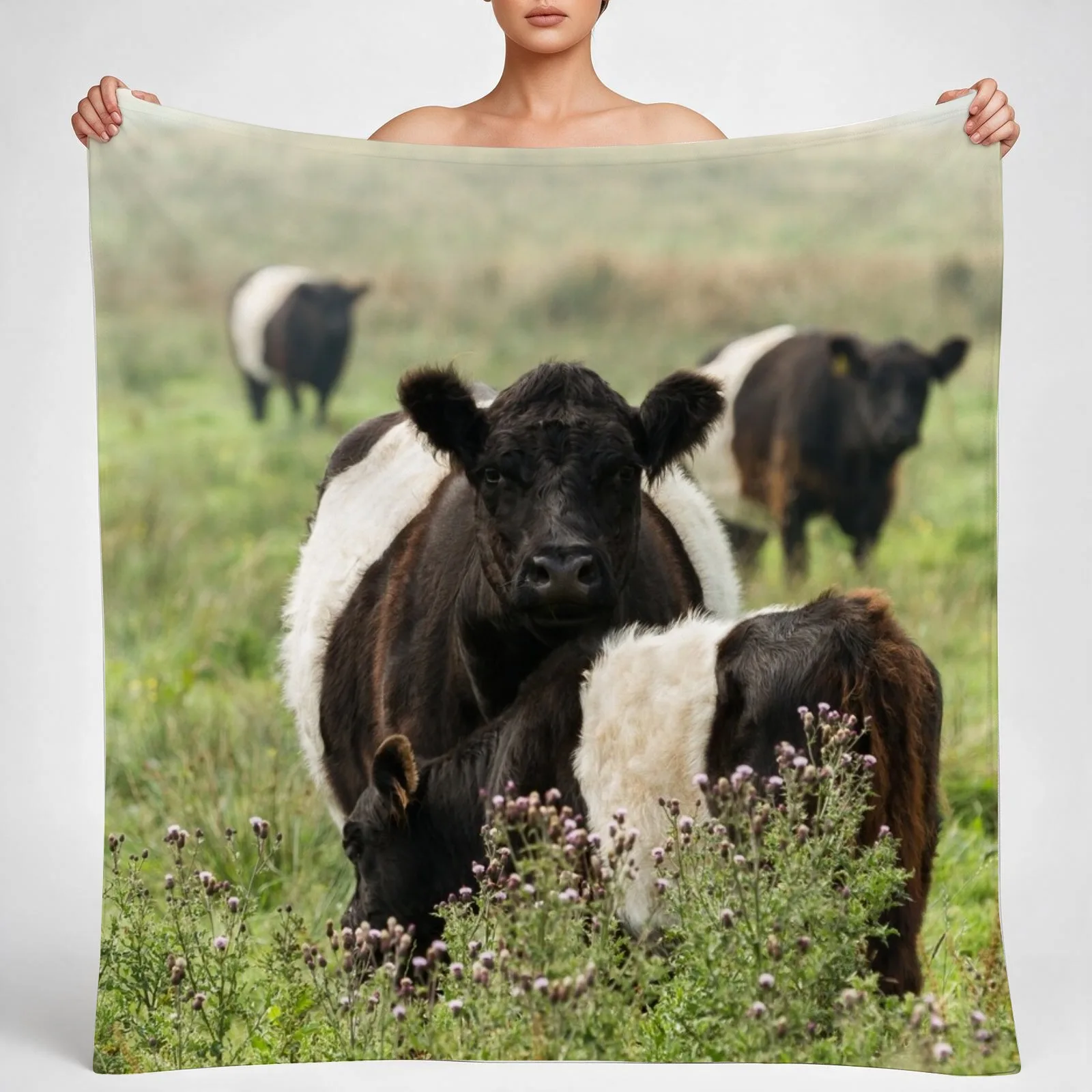Belted Galloway Cows Throw Blanket couch cozy soft plush fuzzy picnic outdoor blanket
