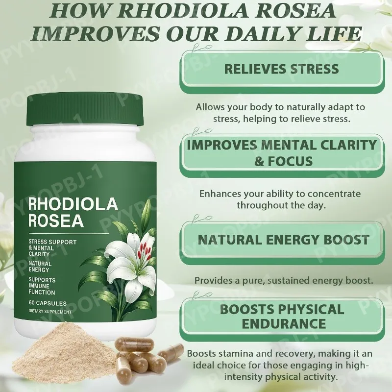 500mg Rhodiola Rosea Capsules Balance Natural Herbaceous Plants Supplement for Daily Stress Support & Energy 60pieces Per Bottle