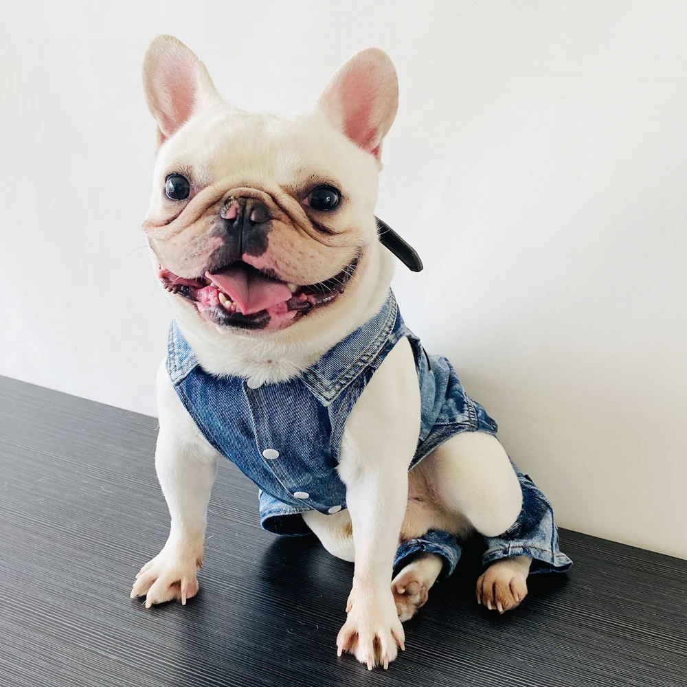 Puppy Clothes 2022 Dog Costume Denim Overalls for Boy Girl Dogs Jeans Jumpsuit for Shih Tzu Yorkshire Clothing for Small Dogs