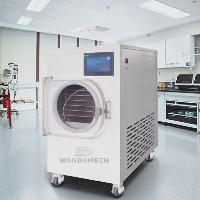 Mini Dryer Machine for Home Use Vacuum Lyophilizer for Dried Food 2kg 4kg 6kg 10kg Capacity Fruit Vegetable