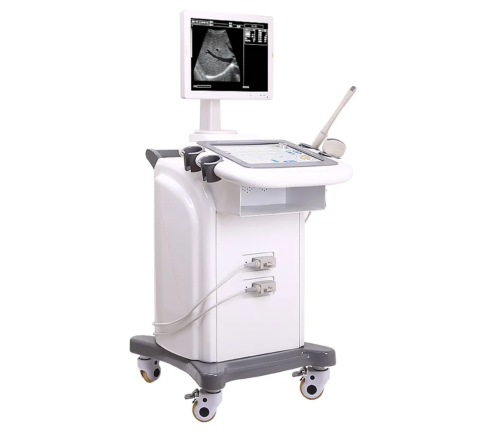 New type real time black/white physiotherapy mindray ultrasound machine with convex probe