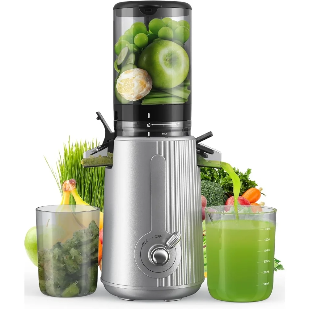 HAOYUNMA Cold Press Juicer Whole Fruit and Vegetable with 4.3