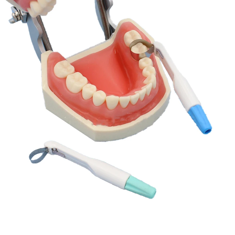 1 pz Dental Band Matrice sistema ad anello regolabile Standard e curvo preformato