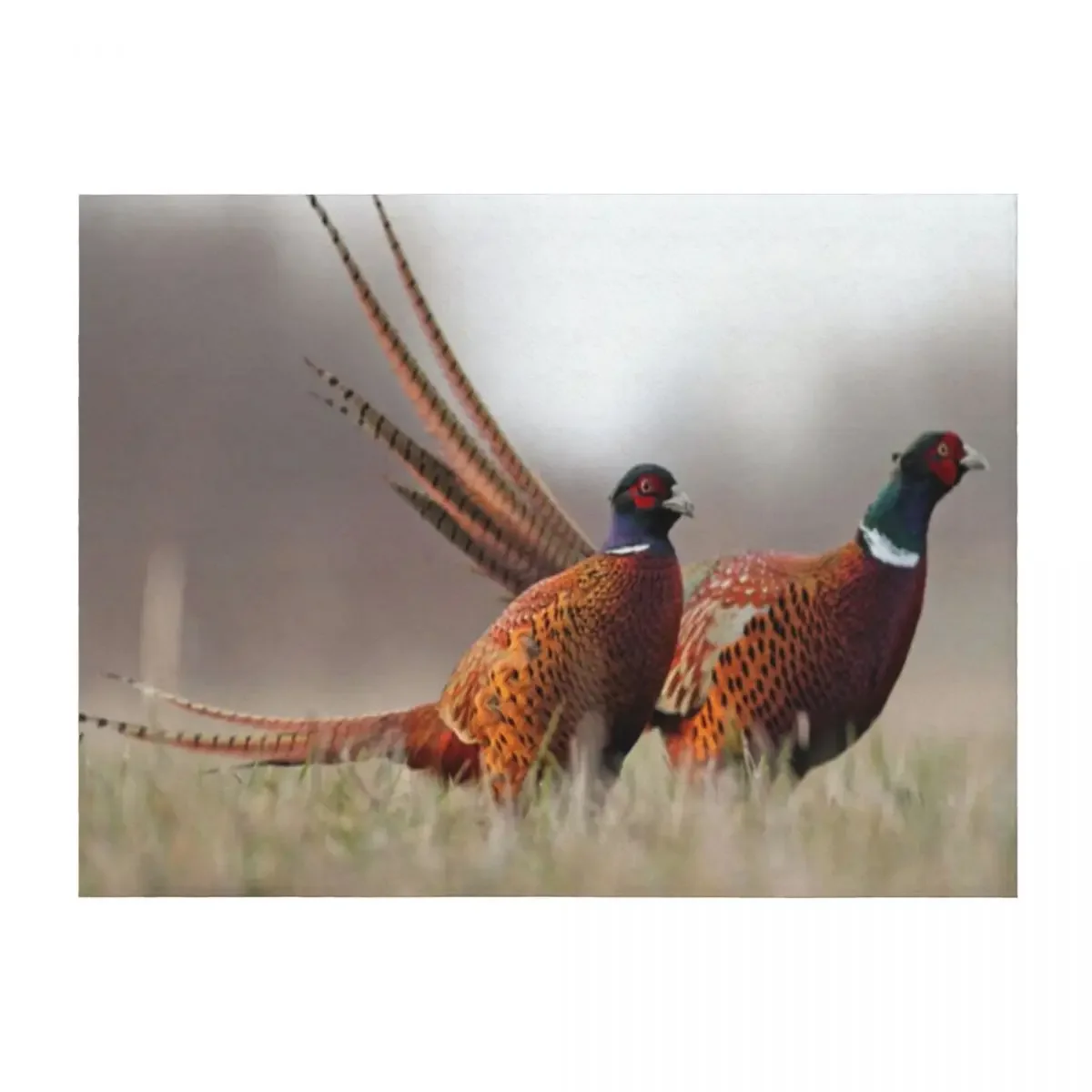 

Ring-necked Pheasant Throw Blanket Luxury Designer halloween Soft Big Furrys Blankets