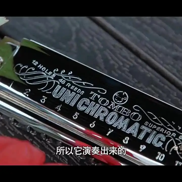 TOMBO Chromatic Harmonica 12 Hole, C Key, 48 Reeds