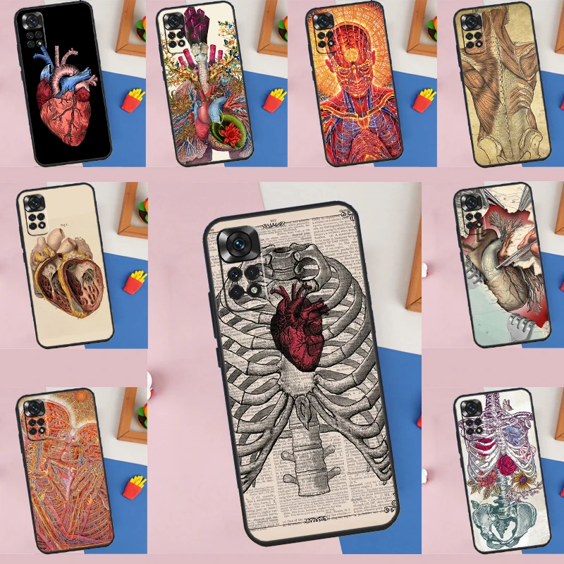 Medical Human Anato… - image