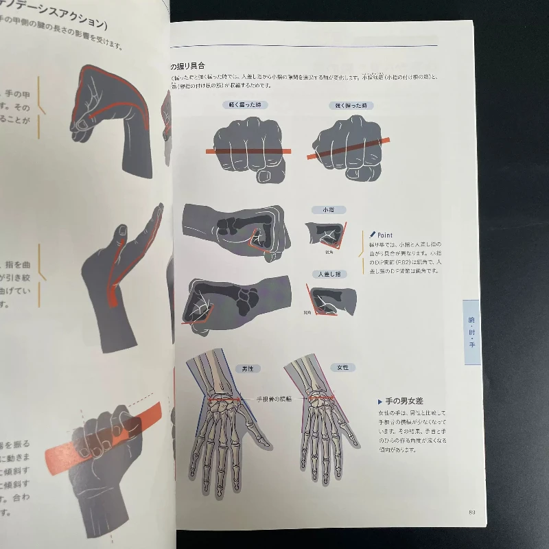 Artistic Anatomy Fundamentals Book | Japanese Human Body Drawing Reference for Artists & Character Designers