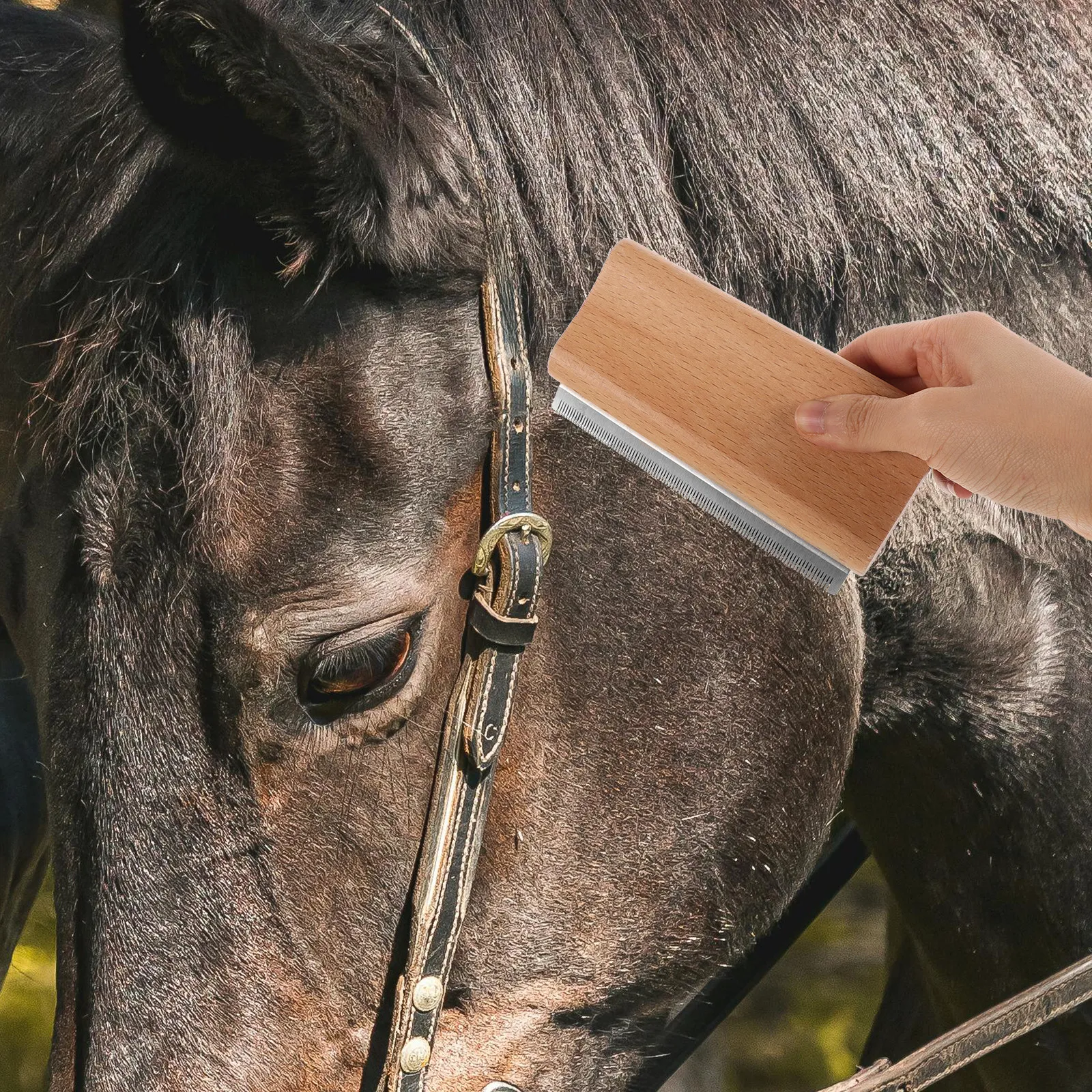 Ergonomic Horse Grooming Brush Reusable Deshedding Scraper Safe Reliable Tool for Cat Dog Horse Multipurpose Groom Tool