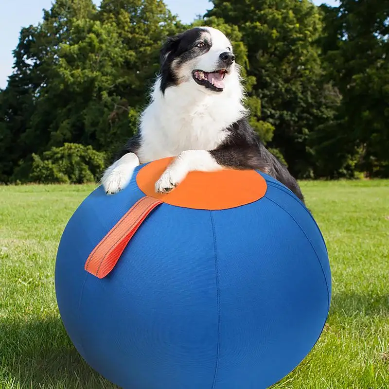 

Interactively Dogs Outdoor Inflatable Ball Toy Molar Herding Ball Toy Durably Physical Activity Big Ball Pet Self Play Toy