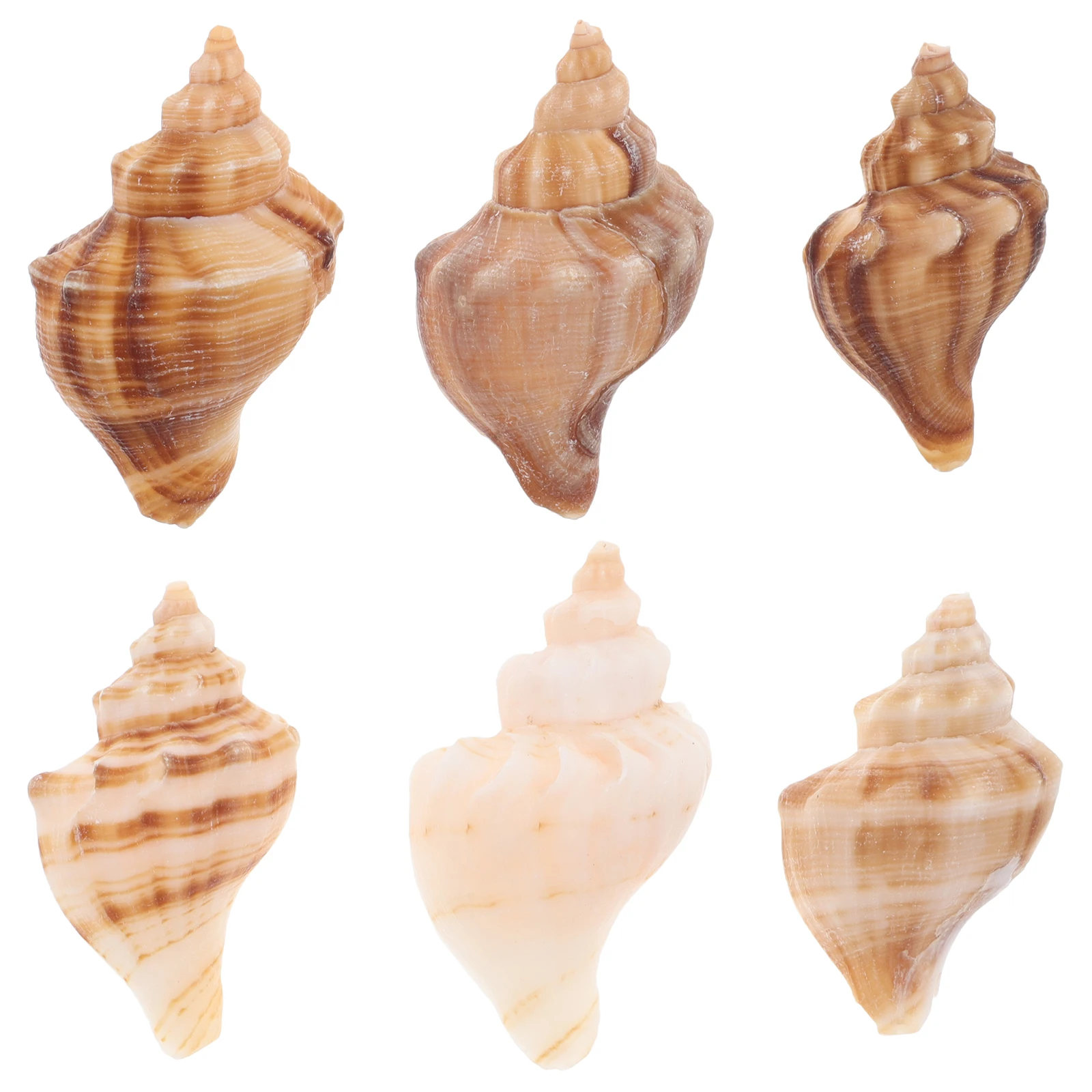 

6pcs Conch Shell Natural Crab Replacement Shells Aquarium Decor Fish Tank Home Decor Coastal Beach Bedroom Bathroom