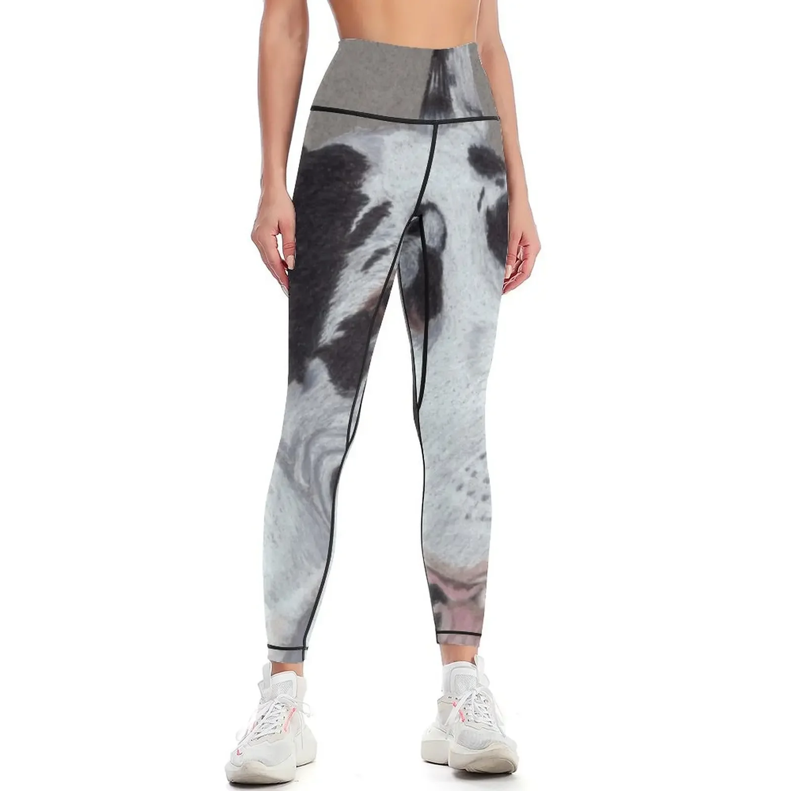 

Harlequin Great Dane Vignette Leggings flared legging pants raises butt Sportswear woman gym sport set Womens Leggings