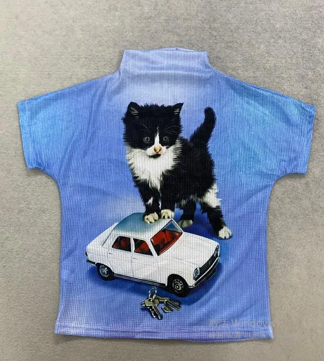 Title：Y2K Vintage Mesh T‑Shirt Women Cute Kitten Car Graphic Print Short Sleeve Top Aesthetic Harajuku Streetwear Tees
