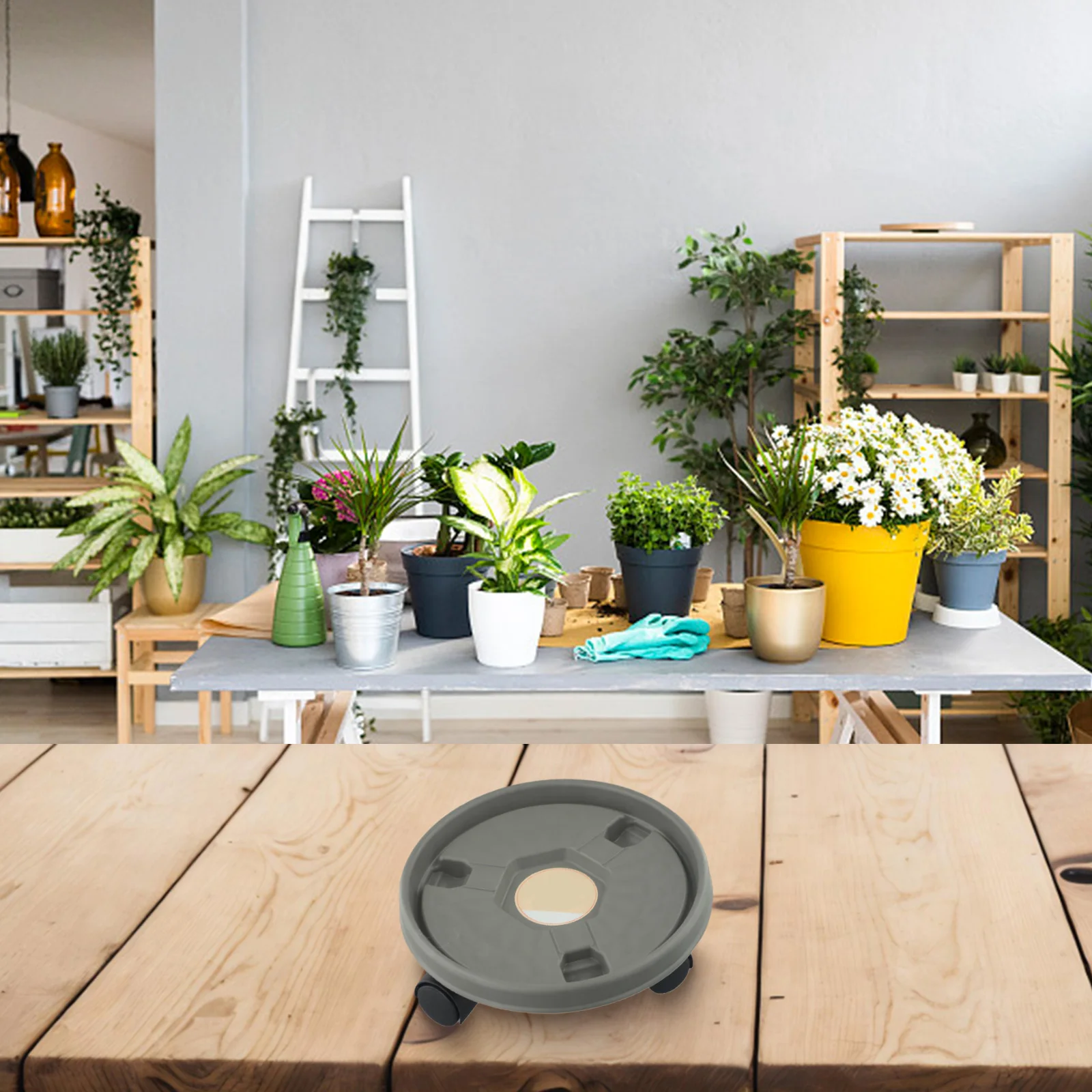 Flower Pot Base Mm Movable Tray Plant Pot Movers Wheels Plant Support Roller Toughness Mm Plant Mover Saucers Weight