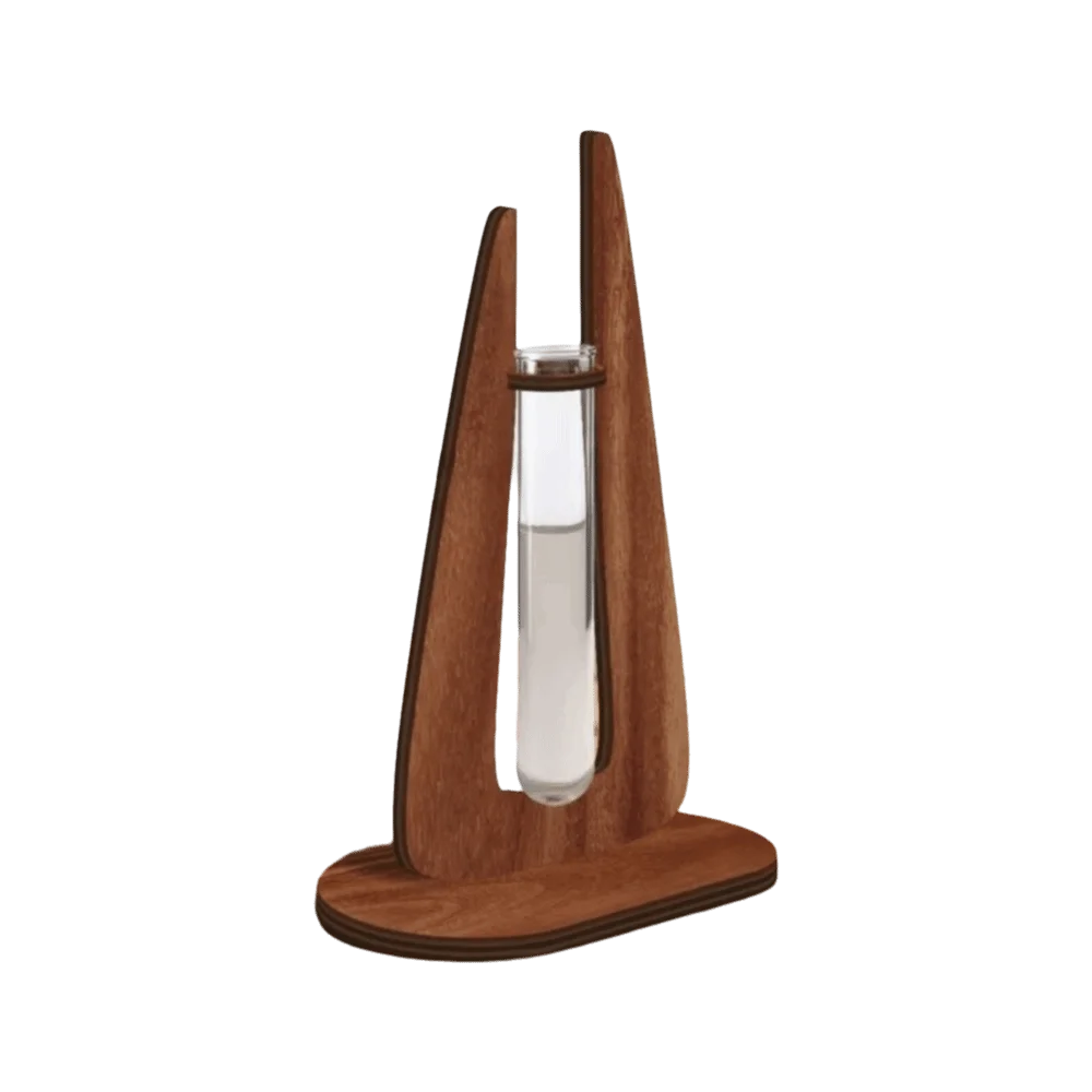 Minimalist Wooden Stand Hydroponic Vase Transparent Ornaments Plant Pot Geometric Retro Water Plant Tube Stand Indoor