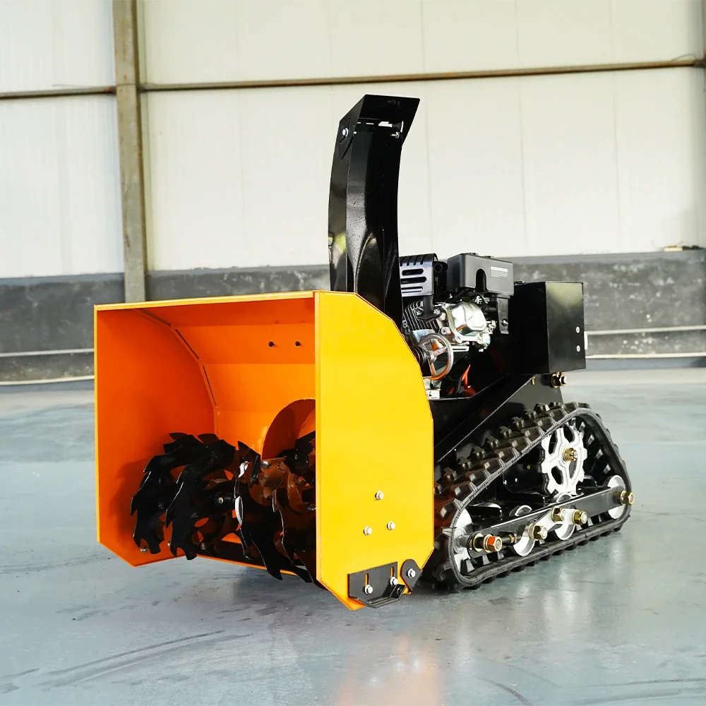 Spazzaneve Robotizzato Cingola - Robot Track recensione e prezzo