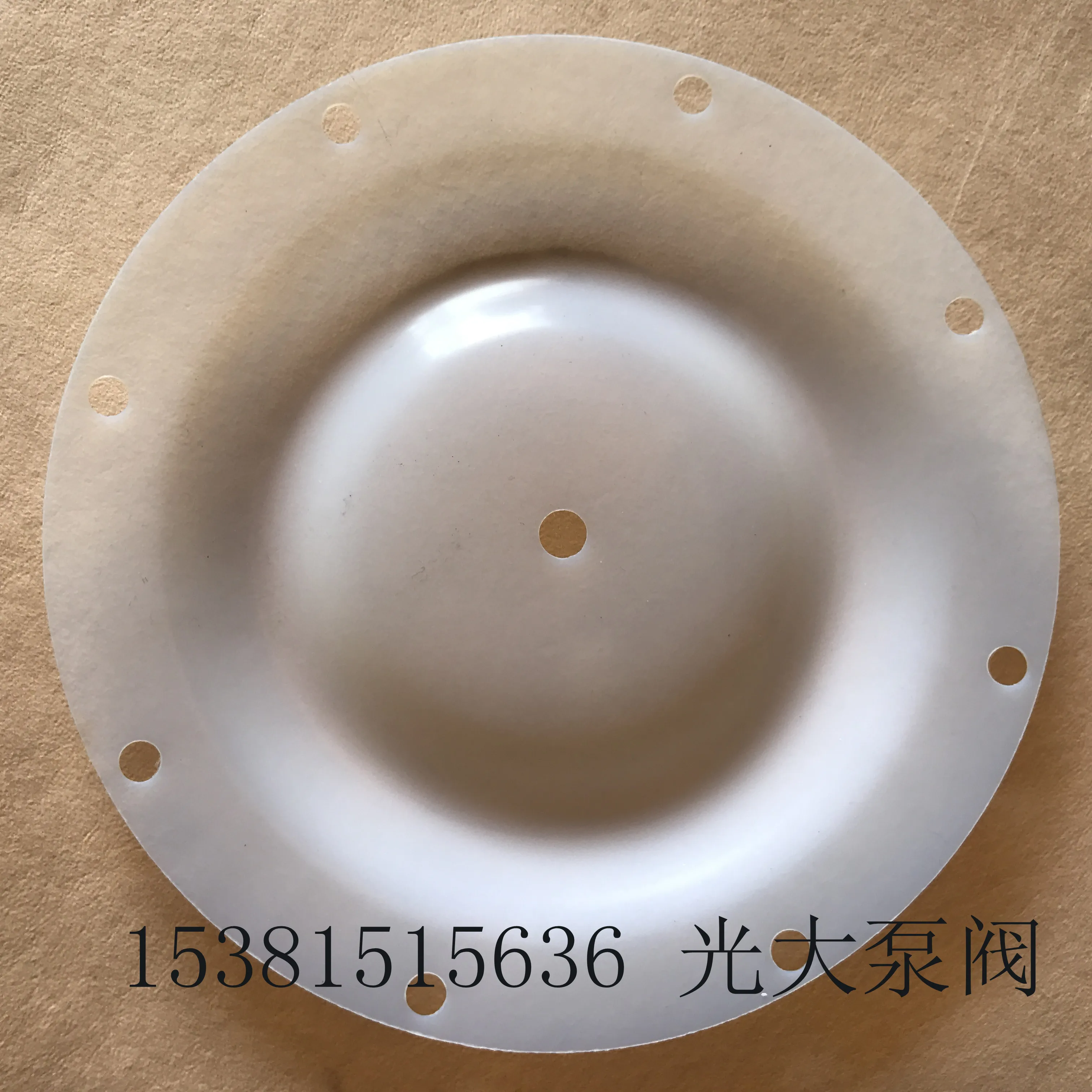 F46 Lined with Fluorine Diaphragm QBK25/40 Air Pump Diaphragm Outer Diameter 230MM