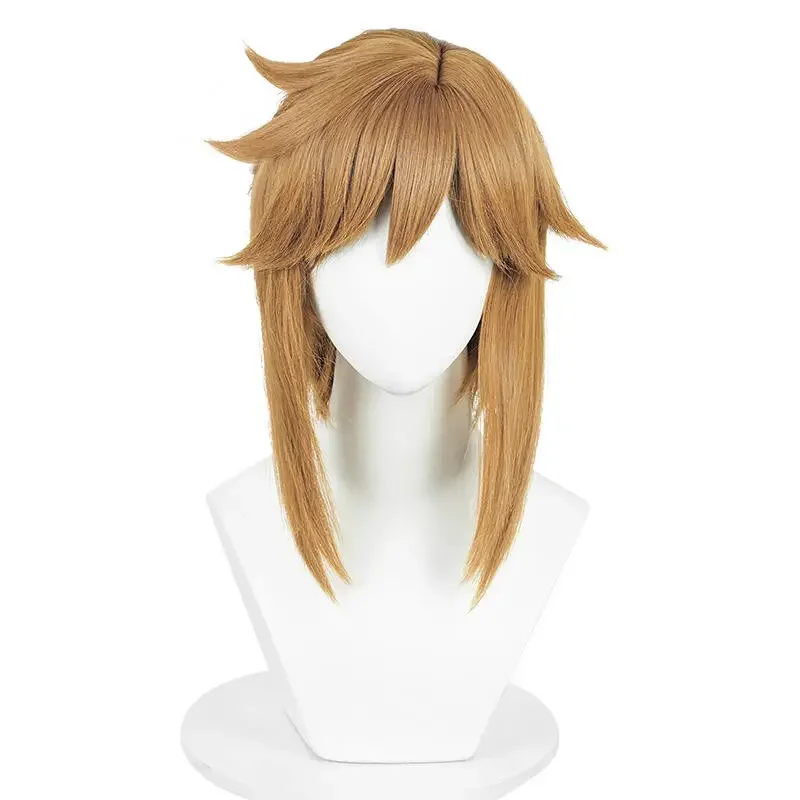 Anime Link Cosplay Wigs with Elf Ears Earrings for Halloween