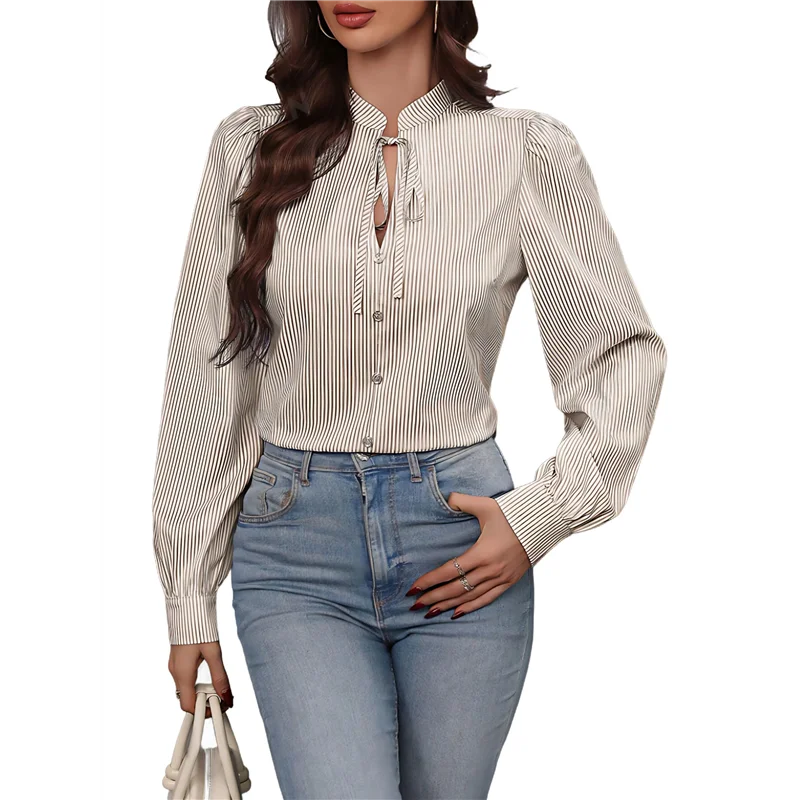 AOAO-Camicie abbottonata a righe da donna Camicette classiche da lavoro da ufficio eleganti a maniche lunghe