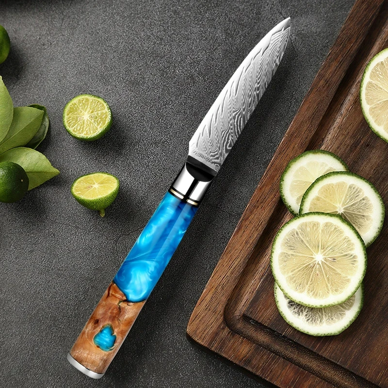 

67 Layers Steel Paring knife 3.5 inch Peeling Knife Damascus VG 10 Core Steel Razor Sharp Professional Kitchen Small Fruit Knife