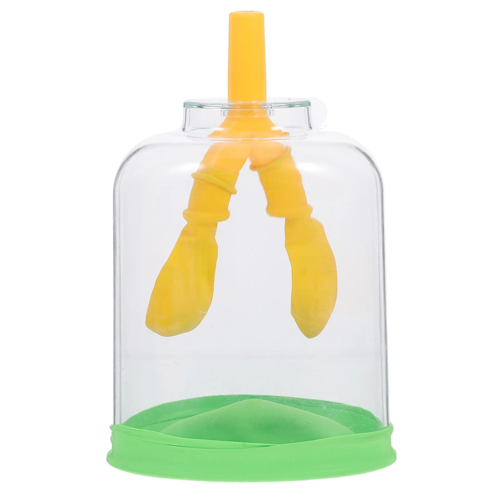 

Sports Experimental Device Lung Breathing Model Educational Toys Anatomy Plastic Function Demonstration Scientific Instrument