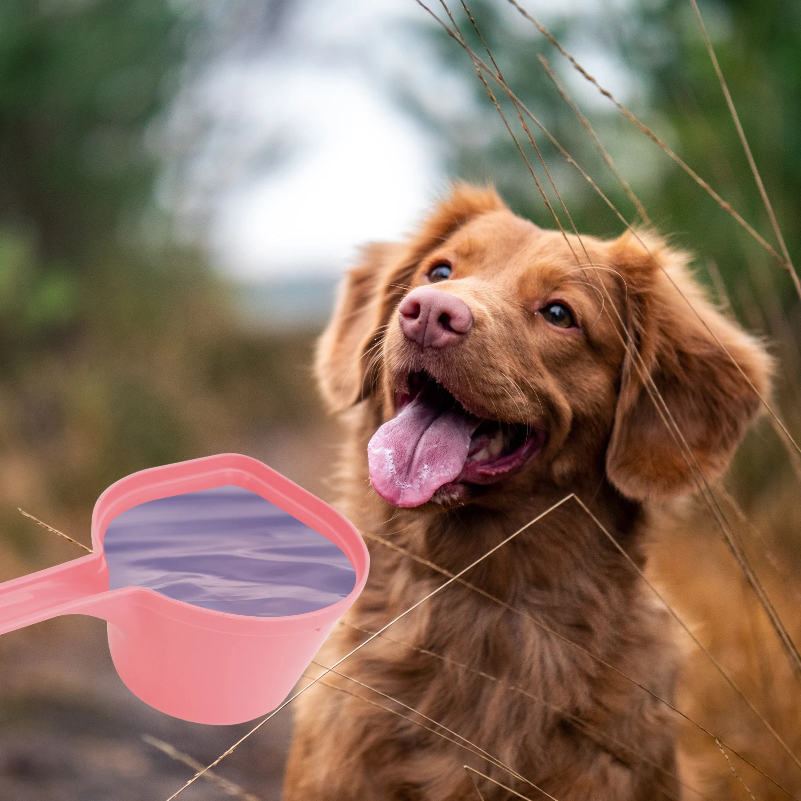 

5pcs Pet Food Scoop Durable Plastic Dog Accessories Puppy Feeding Spoon Easy Storage Hygienic Material Clean Dog Supplies