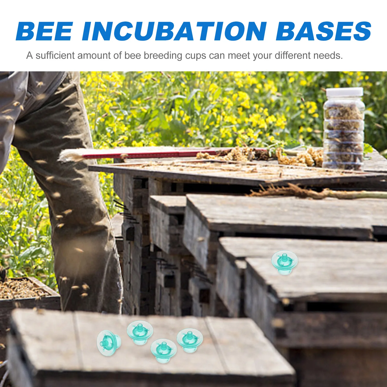 

100Pcs Safe Bee Rearing Cups Crack Resistant Beekeeping Tools for Effortless Queen Breeding and Hive Maintenance Supplies