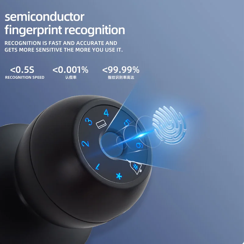 Smart Locks Password biometrica e impronta digitale Serratura elettronica sostitutiva a sfera Serratura per porta in alluminio o legno