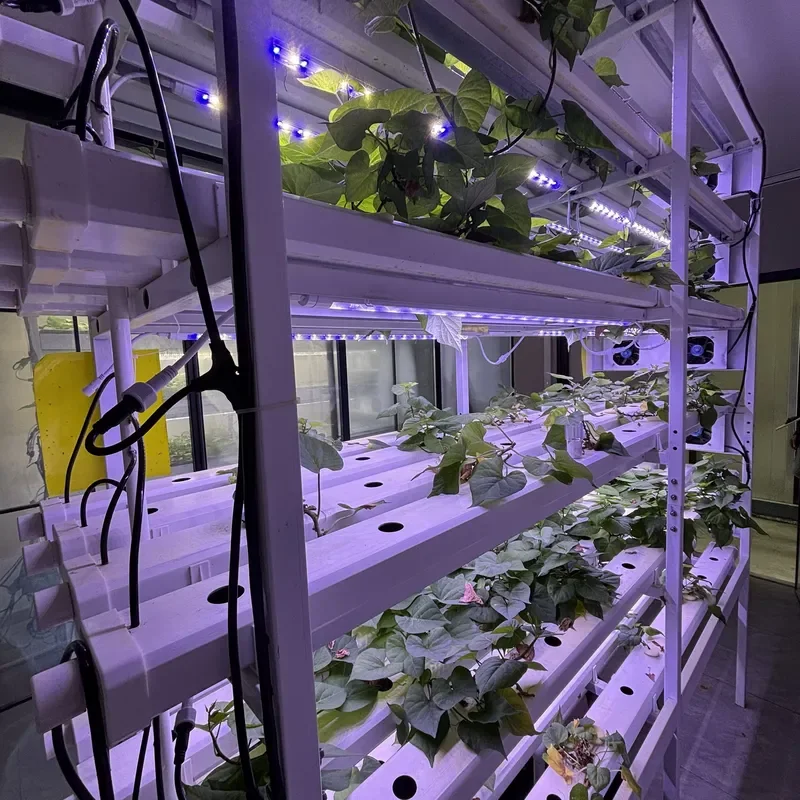 Space Saving Vertical Hydroponic Piping NFT System Multi Layer Planting Rack Water Saving Design for Vegetable Farms