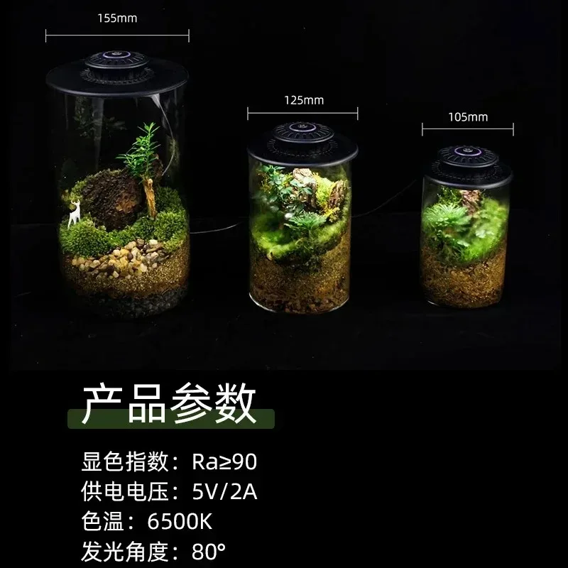 Timing Full Spectrum Plant Lamp Micro LandscapePlant Growth Lamp ShadePlant Grow LightGlass Flower Container MicroLandscape Lamp