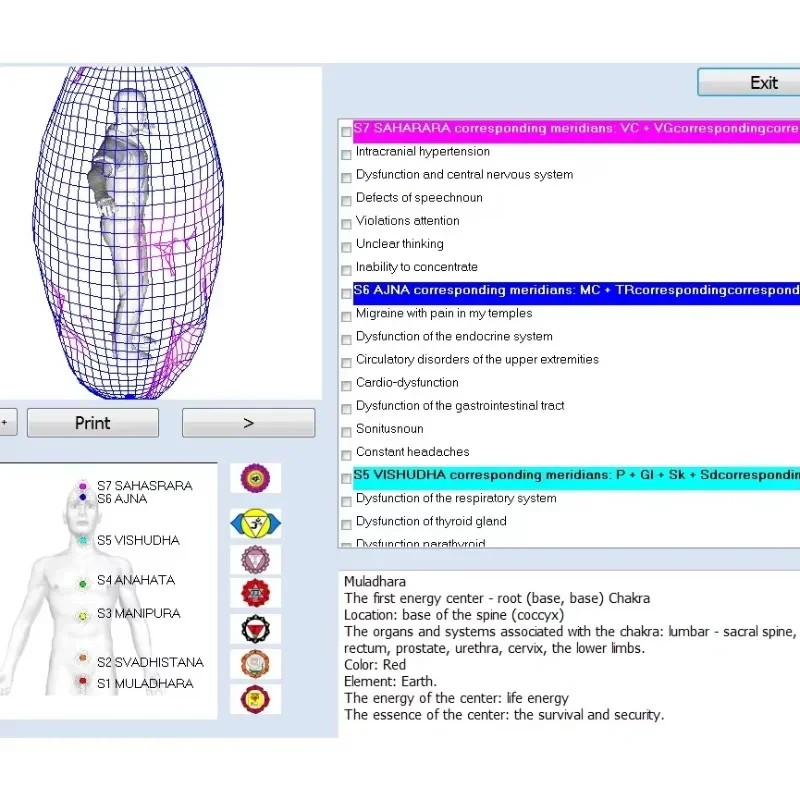 

In stock Bioresonance Original Russian 8D/9D/17D NLS Health Analyzer / Body Analysis Machine with Aura and CHAKRAS