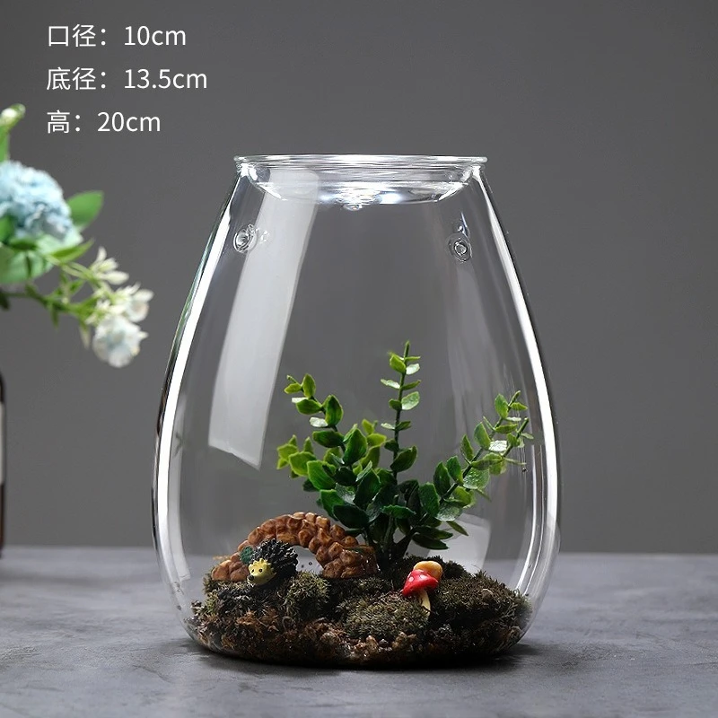 Multi-size Glass Bottle Creativity Dew Collection Glass Vase Micro Landscape Succulent Moss Landscape Glass Terrarium Home Decor