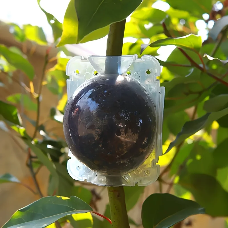 10 قطعة صندوق نشر الضغط العالي للبستنة ، أداة تأصيل قطع فرع النبات ، قطع الزهور والشجرة تطعيم تأصيل قطعة أثرية #2