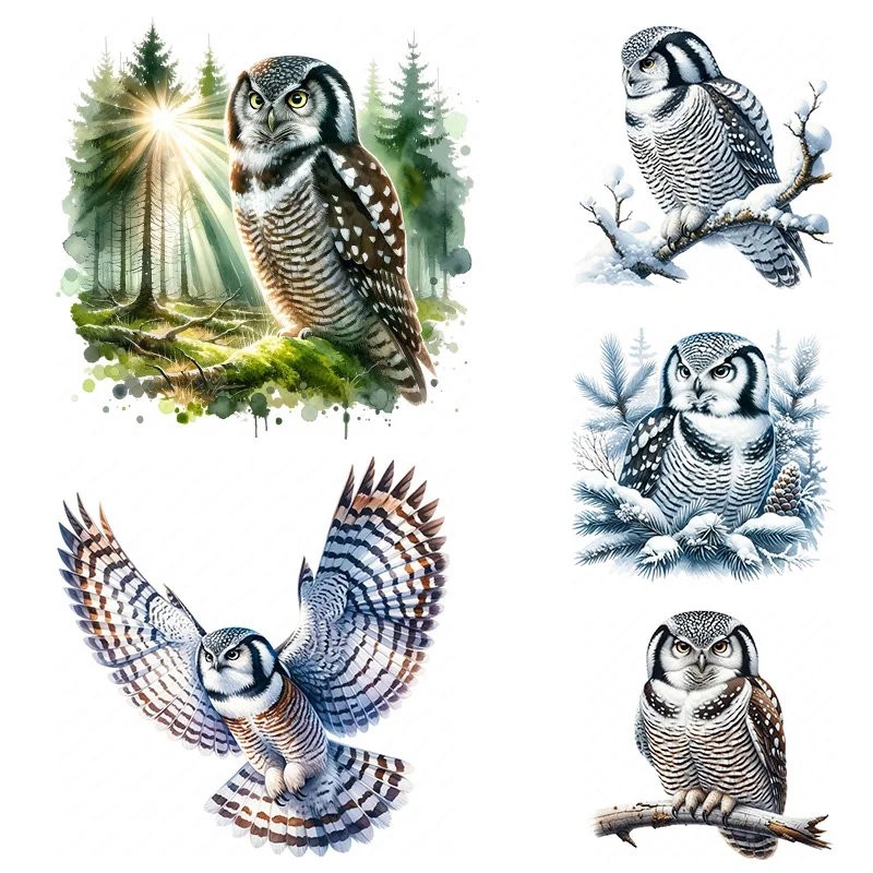 

QT655# Northern Hawk Owl Toilet Sticker, Durable Material, Perfect for Home Wall Decor, Aesthetic Room Decoration