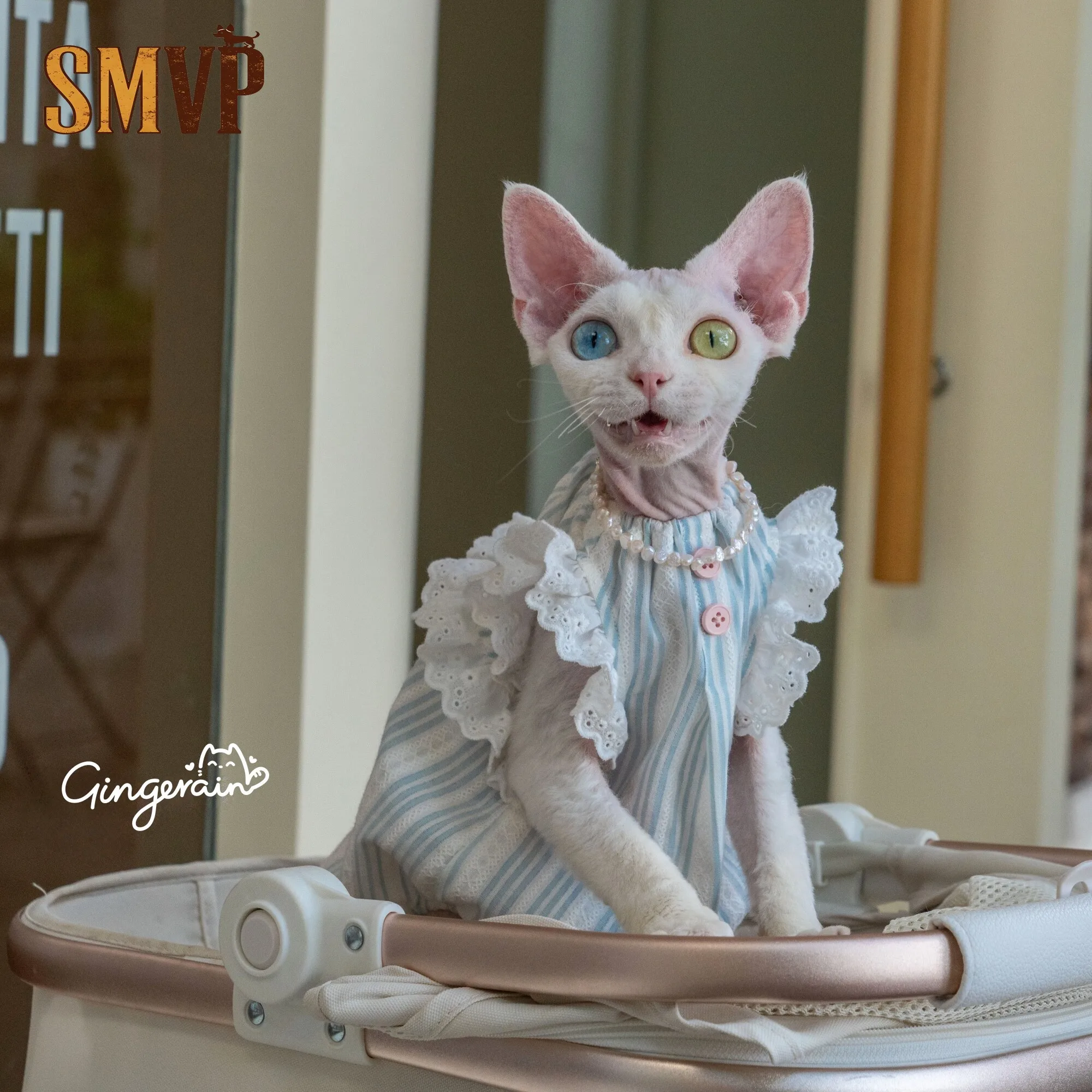 

Cat Hairless Cat Clothes Summer Loose Fit Breathable Blue Vertical Stripe Cotton Lace Flutter Sleeve Sweet Vest