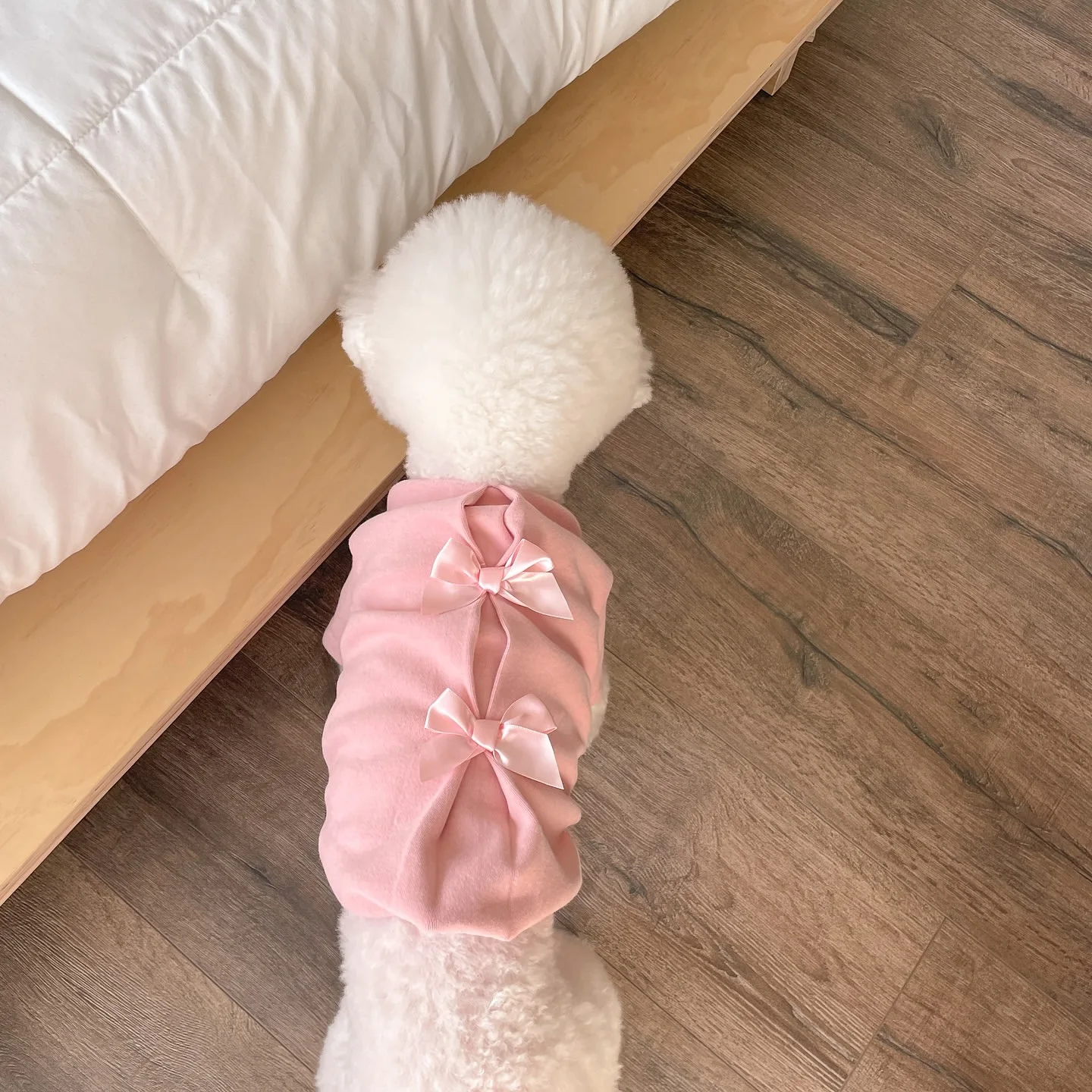 Poodle Bottoming Shirt New Style Pet Warm Clothing Adorable Bow Tie Small Dog Pullover Solid Colour Dog Clothes